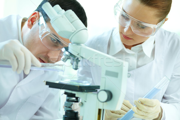 Scientific scrutiny Stock photo © pressmaster