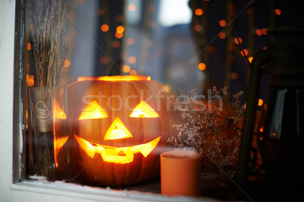 Halloween pumpkin Stock photo © pressmaster
