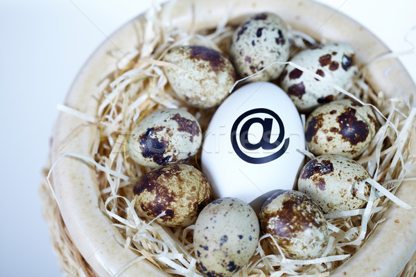Eggs in nest Stock photo © pressmaster