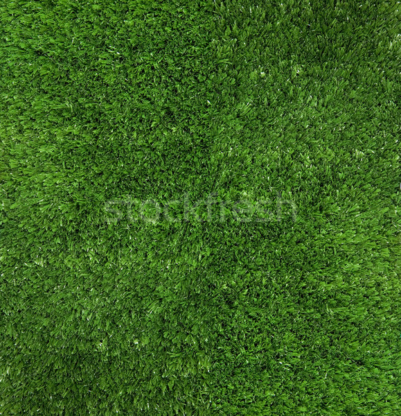 Green grass Stock photo © pressmaster