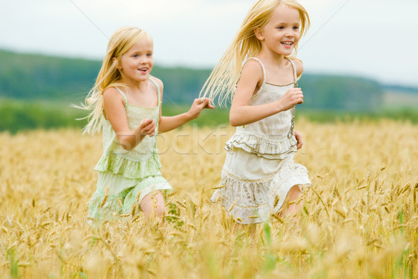 Liberdade retrato menina feliz corrida para baixo campo de trigo Foto stock © pressmaster