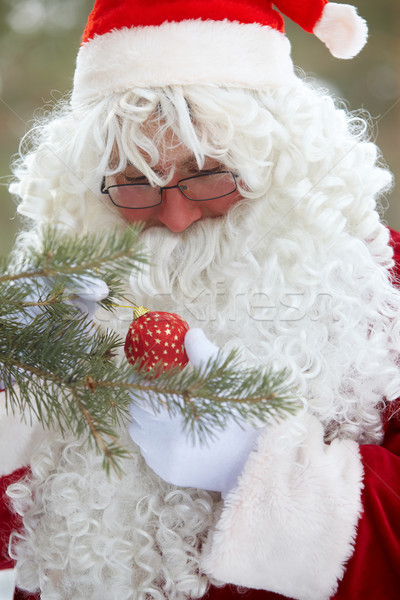 Christmas preparations  Stock photo © pressmaster