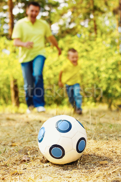 Ball on grassland Stock photo © pressmaster