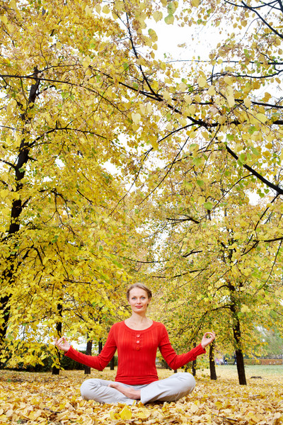 Foto stock: Outono · harmonia · mulher · jovem · meditando · ao · ar · livre · parque