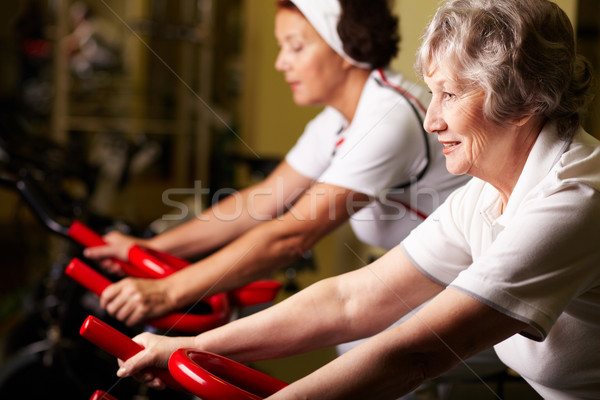 Formation deux supérieurs femmes gymnase [[stock_photo]] © pressmaster