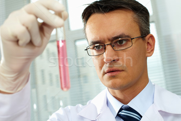 Sustancia estudio masculina científico estudiar Foto stock © pressmaster