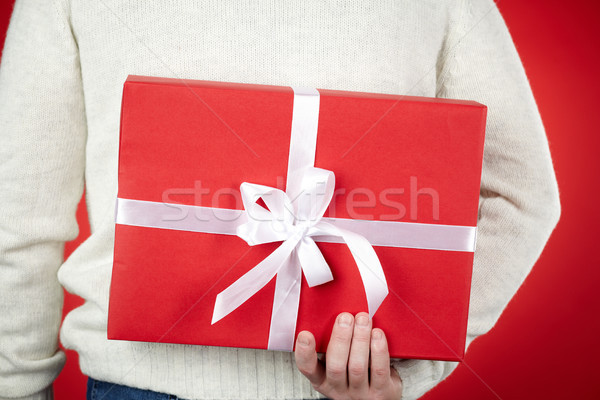 Giftbox in hands Stock photo © pressmaster