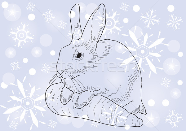 Stock photo: rabbit with a carrot 