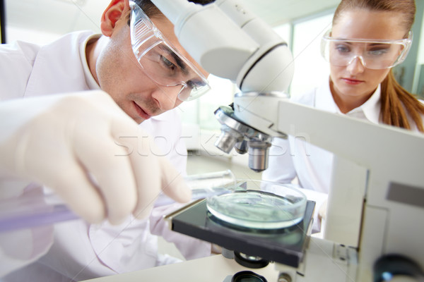 Laboratory research Stock photo © pressmaster