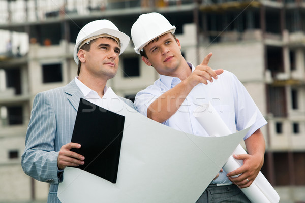 Stock photo: Working together