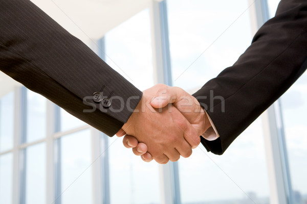 Handshake Stock photo © pressmaster