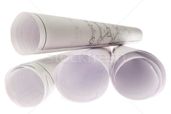Rolled sketches Stock photo © pressmaster