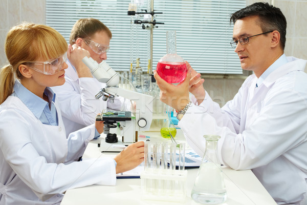 [[stock_photo]]: Travail · d'équipe · groupe · étudier · nouvelle · laboratoire