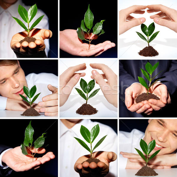 Environmental protection Stock photo © pressmaster