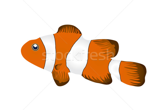 fish Stock photo © pressmaster