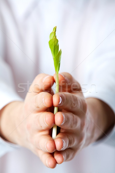 Principio humanos árbol joven flor fuera Foto stock © pressmaster