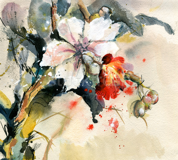 ストックフォト: 蘭 · 咲く · 絵画 · 明るい · 花 · 春