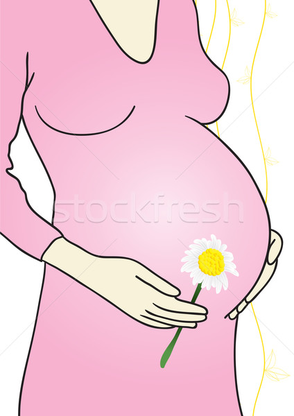 Mujer embarazada manzanilla primer plano vientre flor cuerpo Foto stock © pressmaster