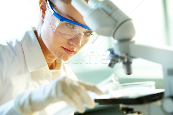 [[stock_photo]]: Scientifique · expérience · Homme · laboratoire · travailleur · trouver