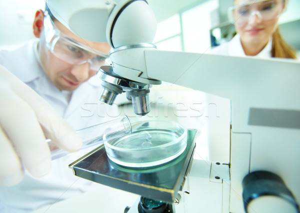 Laboratory research Stock photo © pressmaster