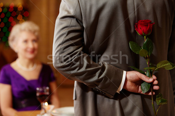 Present of rose  Stock photo © pressmaster