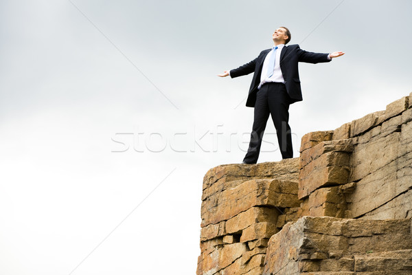 Genot gelukkig zakenman berg vers wind Stockfoto © pressmaster