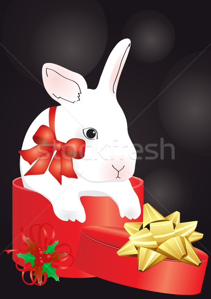 rabbit in the red box  Stock photo © pressmaster