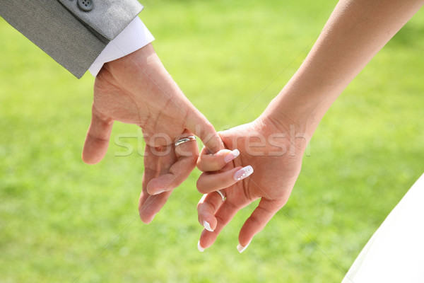Zusammengehörigkeit Braut Hand Hochzeit weiß Stock foto © pressmaster