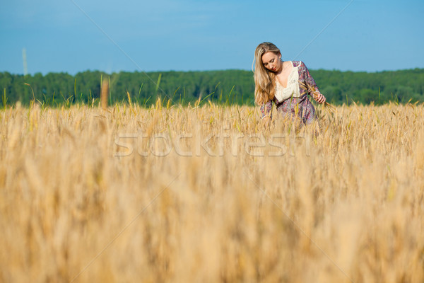 Stock fotó: Fiatal · nő · fiatal · szépség · lány · búzamező · égbolt