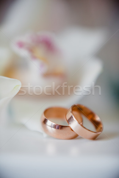 gold wedding rings Stock photo © prg0383