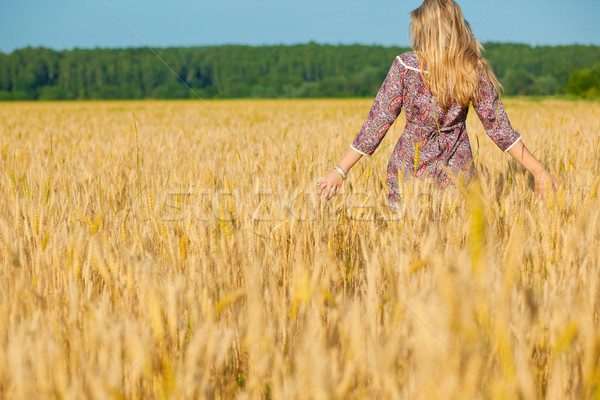 Giovani bellezza ragazza campo di grano nubi Foto d'archivio © prg0383