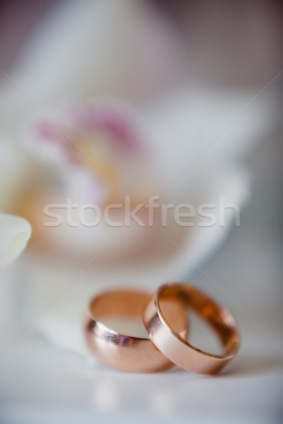 gold wedding rings Stock photo © prg0383