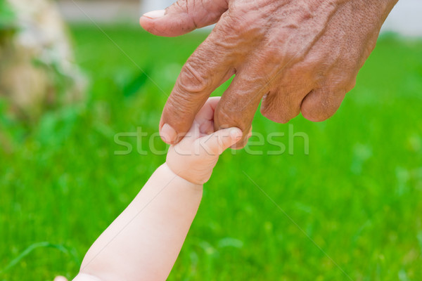 child's hand  Stock photo © prg0383