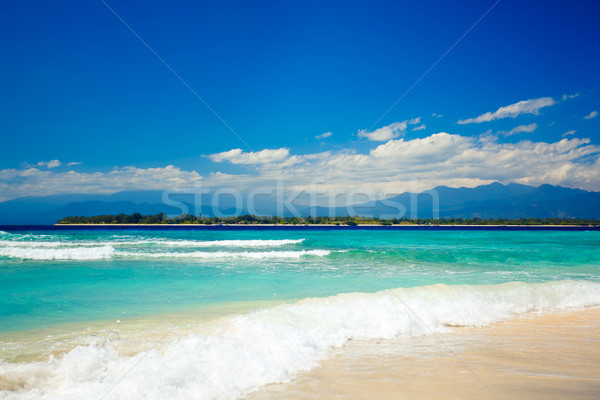 beach at summertime Stock photo © prg0383