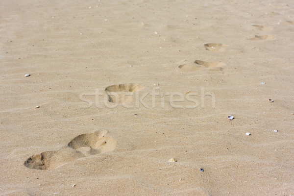 пляж следов песок аннотация природы фон Сток-фото © prg0383
