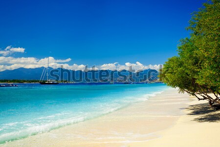 beach at summertime Stock photo © prg0383