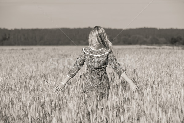 Giovani bellezza ragazza campo di grano cielo Foto d'archivio © prg0383