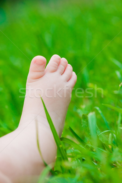 Ayaklar küçük bebek taze yeşil ot Stok fotoğraf © prg0383
