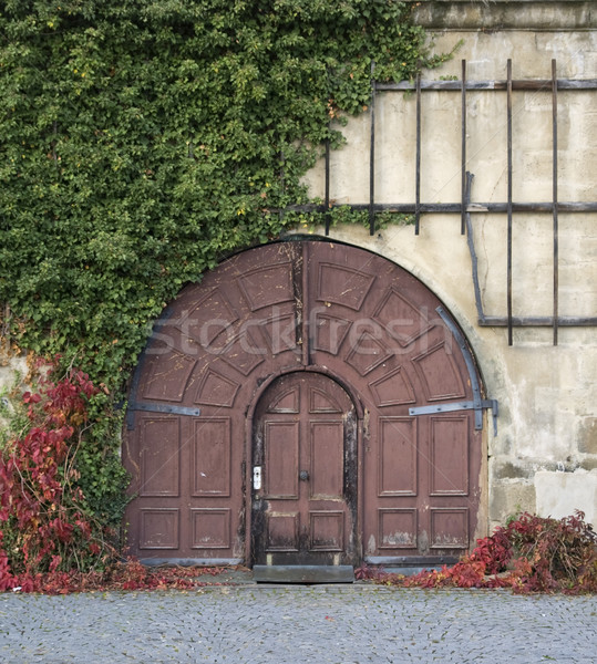 historic entrance Stock photo © prill