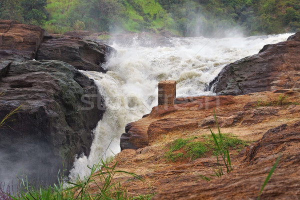 Murchison Falls in Africa Stock photo © prill