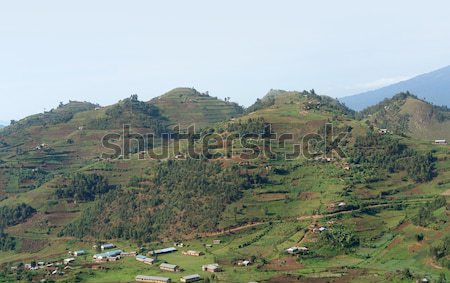 aerial view around Virunga Mountains in Uganda Stock photo © prill