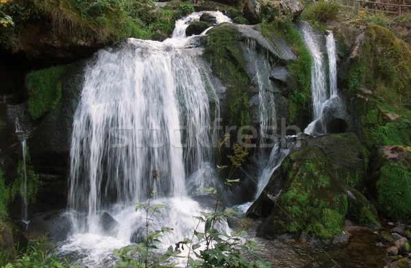 Foto d'archivio: Idilliaco · cascate · scenario · nero · foresta