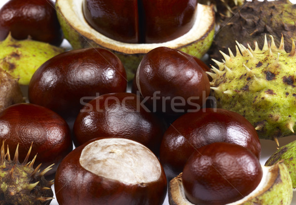 horse chestnuts Stock photo © prill