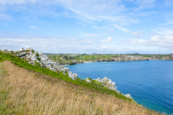crozon peninsula in Brittany Stock photo © prill