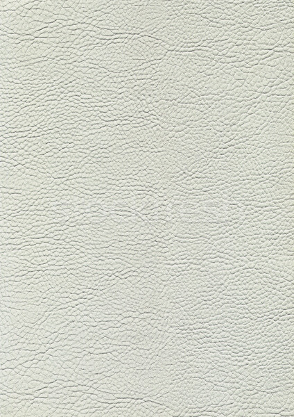 synthetic leather structure Stock photo © prill