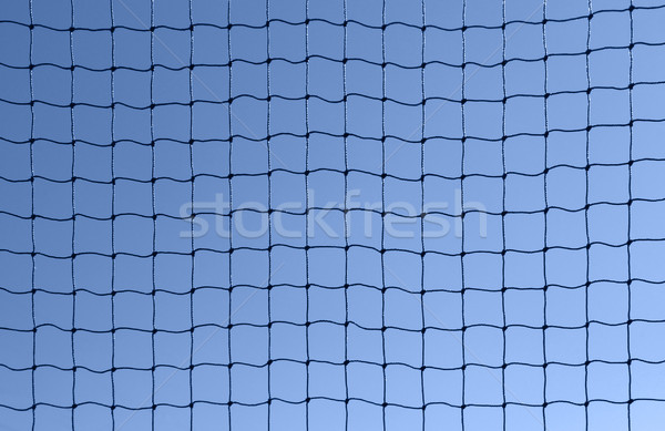 netting Stock photo © prill