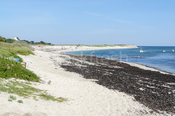 sunny beach in Brittany Stock photo © prill