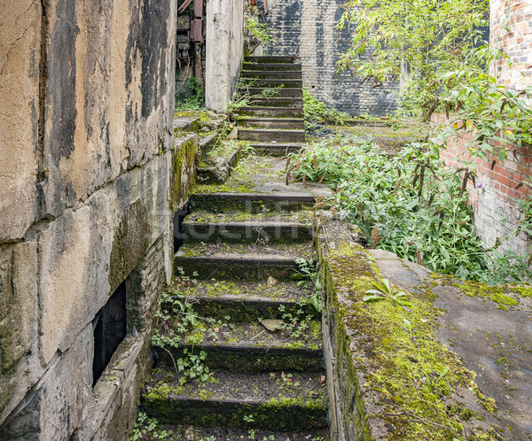 Stockfoto: Rot · bouwkundig · landschap · deels · gedekt · bouw