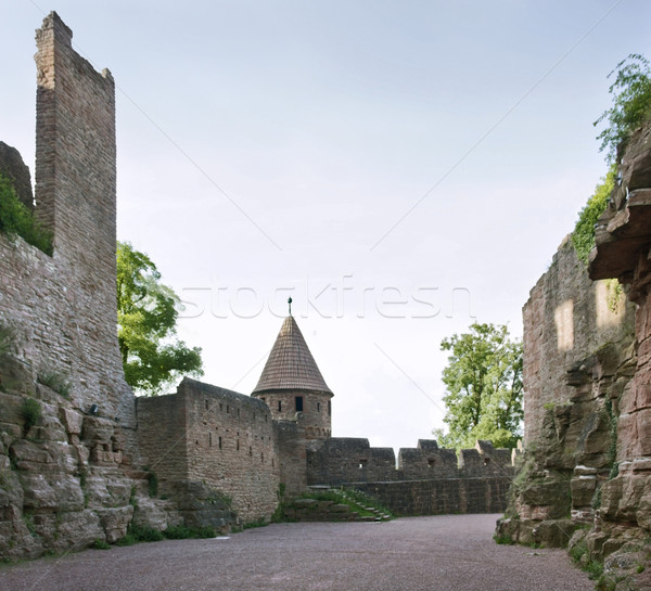 Wertheim Castle detail at summer time Stock photo © prill