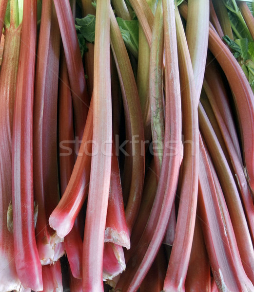 Rabarbaro full frame frutta rosso impianto agricoltura Foto d'archivio © prill